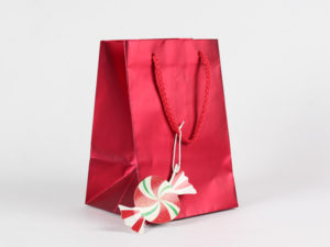 Custom-Brandings-Art-Paper-Bag-ribbon-vendor-packaging-luxury-bags-handle-rope-mfg