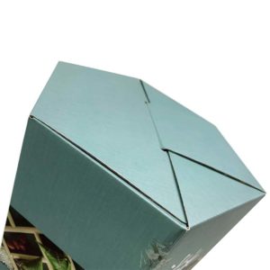 custom-hexagon-luxury-food-packaging-corrugated-box-cookie-packaging-mfg