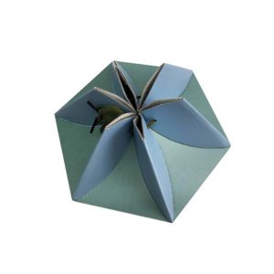 custom-hexagon-luxury-food-packaging-corrugated-box-gifts-packaging-mfg