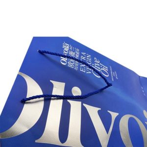 custom-high-quality-blue-shopping-premium-paper-bag-pp-handle-luxury-packaging-mfg-china