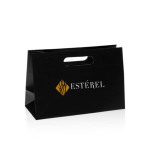 luxury-Euro-totes-bags-foil-silver-branded-paper-apparel-with-patch handle-wholesale-mfg