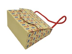 rigid-cardboard handle-boxes-bag-advertising- logo-printing -ribbon-handle-box-removable paper-cardboard-cover -mfg