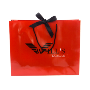 soft_rope_Handle_wrapper_ribbon_custom_premium_Euro_Totes_Paper_Bags_UV_varnishing_laminated_custom_handmade_paper_bags_clothes_stores_mfg_lakek_packaging