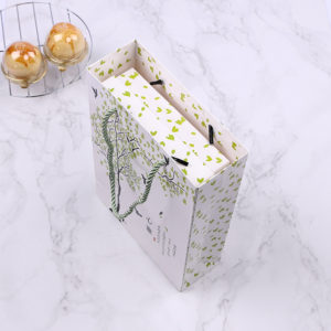 Premium-Custom-Paper-Gifts-Bags-handle-with-twist-rope-white -brown-kraft-merchandise-paper-luxury-euro-totes-bags