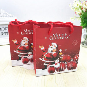 Wholesale-luxury-red-Christmas-paper-shopping-bags-with-pp-rope --handles-wholesale-mfg