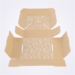 cardboard-Custom-kraft-paper-mailer-box-foldable-takeaway box-corrugated-shipping-boxes