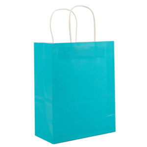 machine-made-economy-paper-shopping-bags-twist-handle-christmas-gift-packaging-mfg